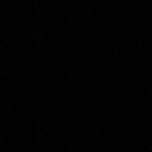 Meet your Posher, Max